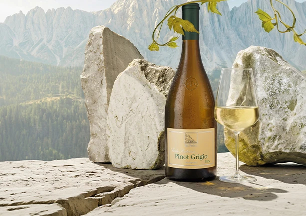 Exklusiv: Late Release von Terlan
