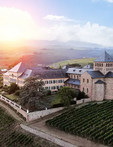 Schloss Johannisberg: 1200 Jahre Weinbaugeschichte im Rheingau​