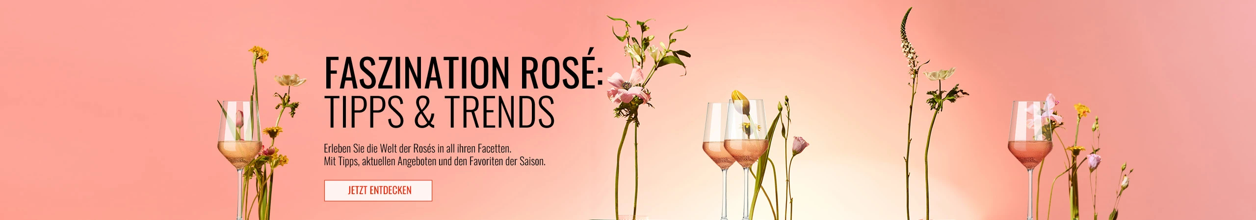  wein angebote aktuelle werbungen faszination rose 