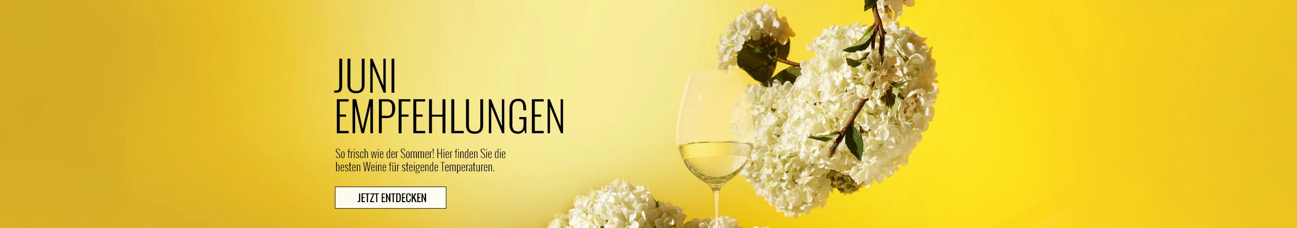  wein angebote aktuelle werbungen wein empfehlungen 