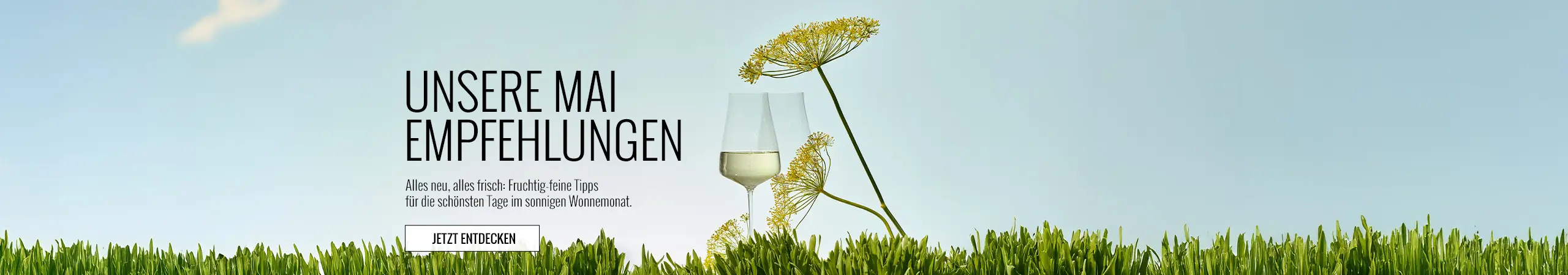  wein angebote aktuelle werbungen wein empfehlungen 