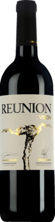 2016 Reunion Vision