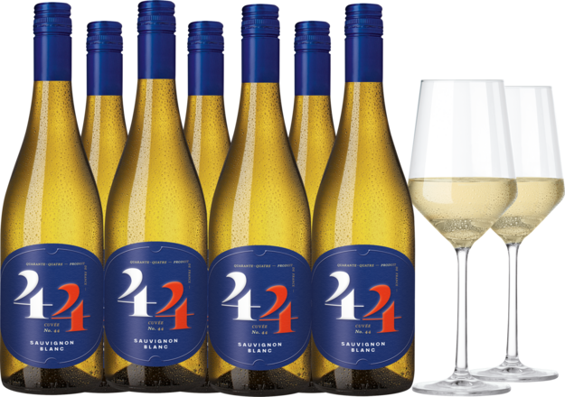 2021 Vorteilspaket 44 Sauvignon Blanc