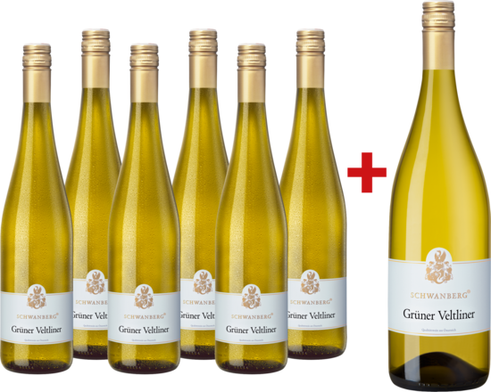 2023 Vorteilspaket Schwanberg Grüner Veltliner