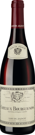 2023 Louis Jadot Coteaux Bourguignons Rouge