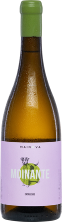 2020 Moinante Branco Encruzado