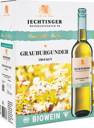 2023 Jechtinger Grauburgunder Bio
