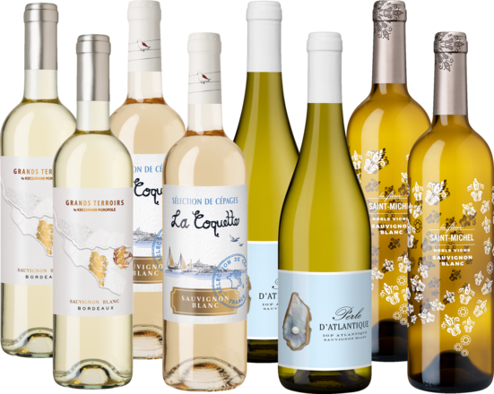 Entdeckerpaket Sauvignon Blanc