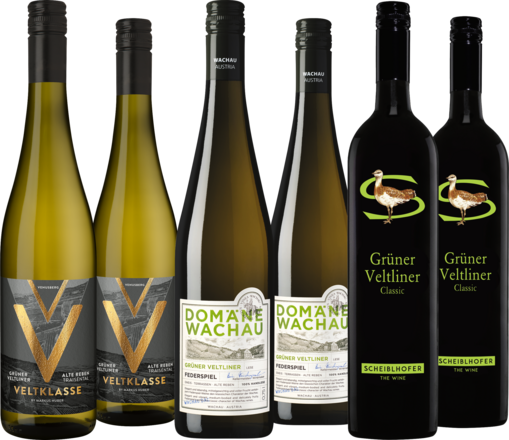 Grüner Veltliner Entdeckerpaket