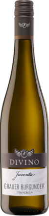 2023 Divino Juventa Grauer Burgunder