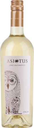 Asio Otus Bianco
