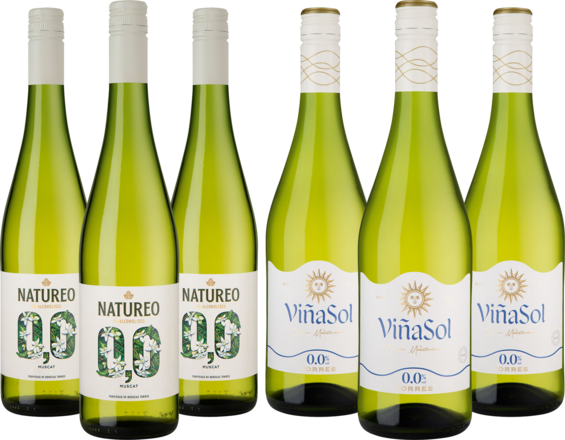 Alkoholfreies Vorteilspaket &quot;Torres&quot;