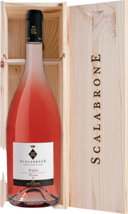 2023 Tenuta Guado al Tasso Scalabrone Antinori