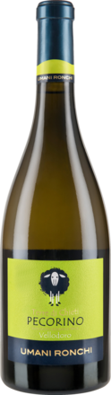 2024 Vellodoro Pecorino
