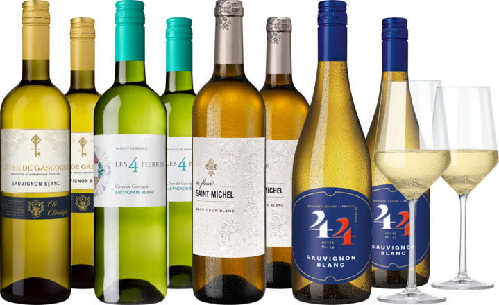 Weinpaket Frankreichs fabelhafte Sauvignon Blancs