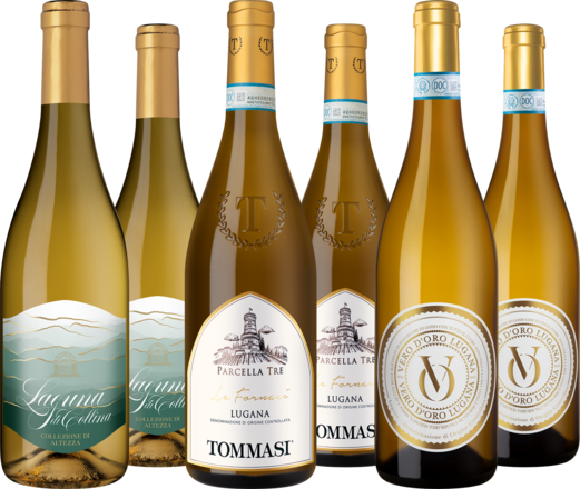 Entdeckerpaket &quot;Lugana-Vielfalt&quot;
