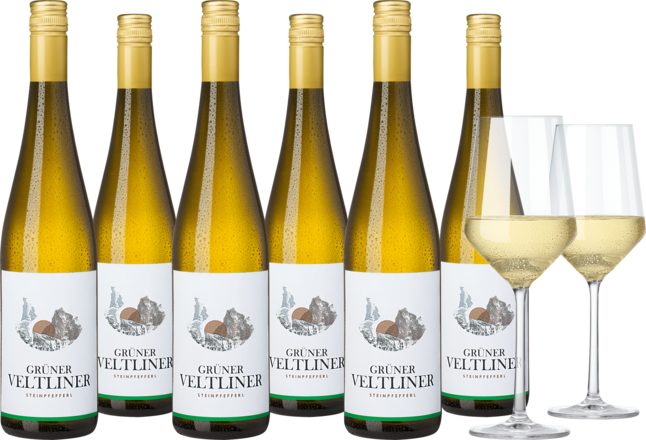 2024 Vorteilspaket Steinpfefferl Grüner Veltliner
