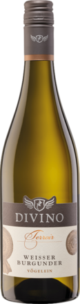 2023 Divino Terroir Vögelein Weisser Burgunder