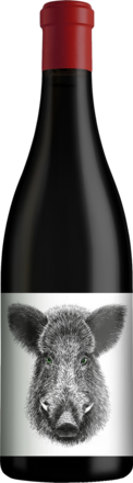 2023 Casa Rojo Enemigo Mio Garnacha