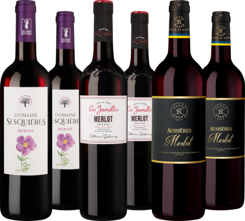 Entdeckerpaket &quot;Merlot Pays d&#39;Oc IGP&quot;