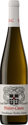 2023 Gimmeldingen Riesling Kabinett