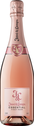 Juvé &amp; Camps Essential Pinot Noir