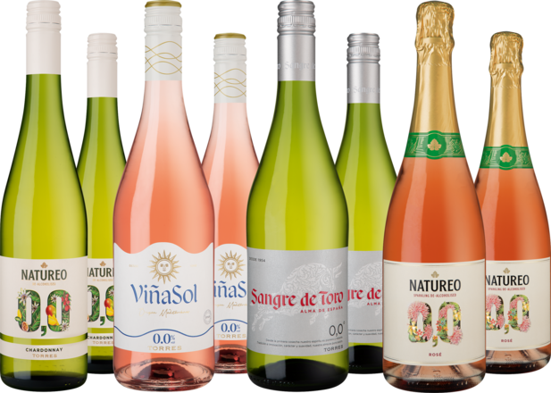 Entdeckerpaket &quot;Alkoholfreie Torres-Highlights&quot;