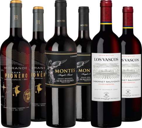 Probierpaket &quot;Rotwein aus Chile&quot;