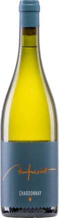 2023 Aufricht Chardonnay Von Alten Reben