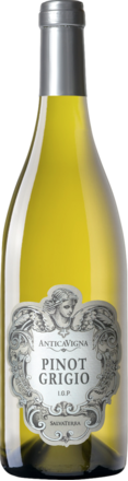 2024 Antica Vigna Pinot Grigio