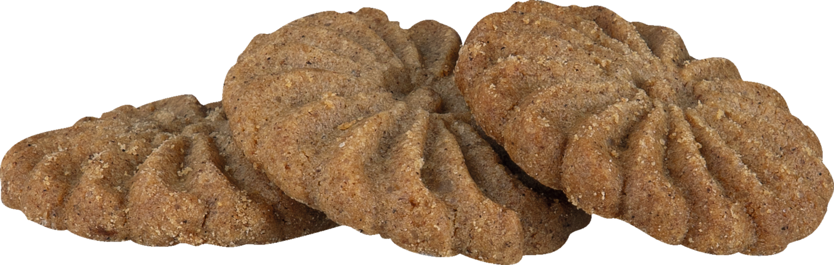 Sylvain Speculoos