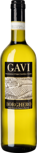 2020 Gavi Borghero