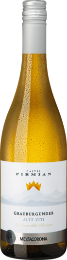 2021 Alte Viti Grauburgunder