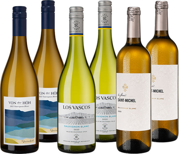 Sauvignon Blanc Empfehlungen im Paket