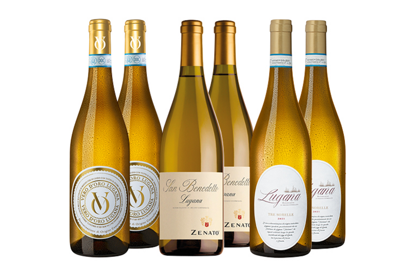 Lugana Bestseller im Paket