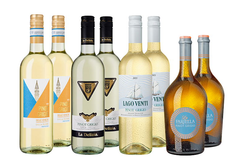 Pinot Grigio Empfehlungen im Paket