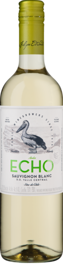 2022 Echo Sauvignon Blanc