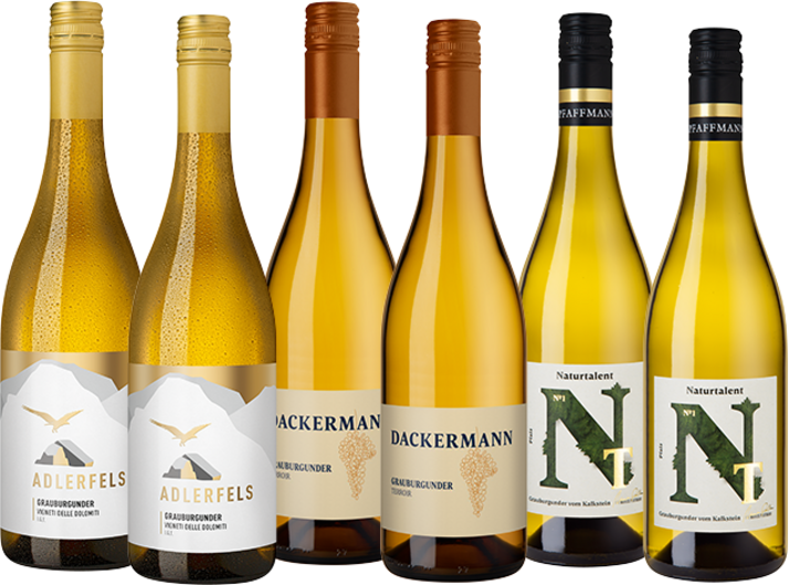 Grauburgunder Highlights im Paket