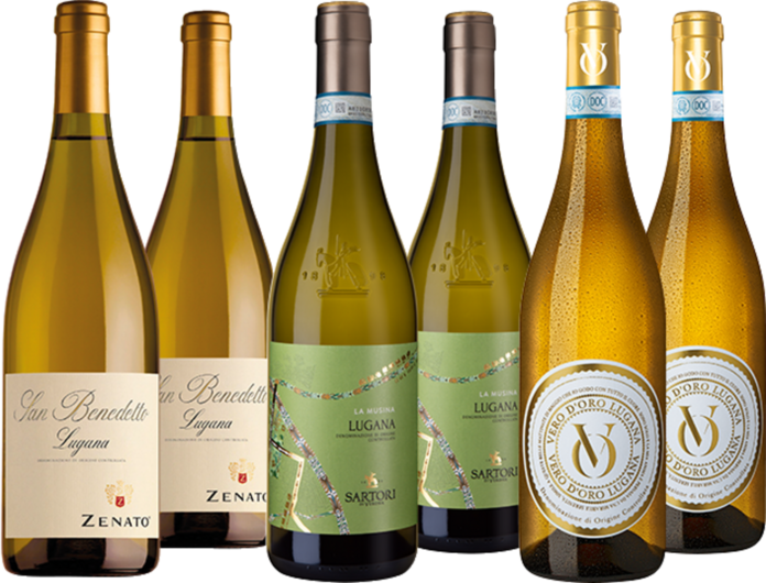 Lugana Bestseller im Paket