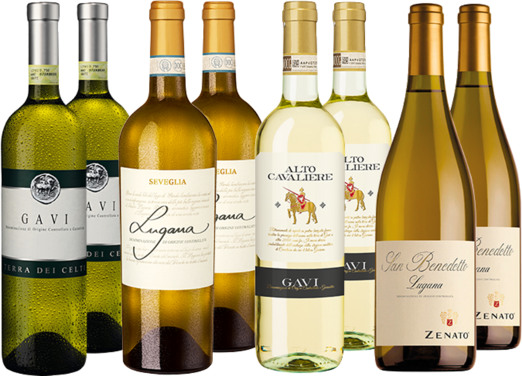 Entdeckerpaket Gavi &amp; Lugana