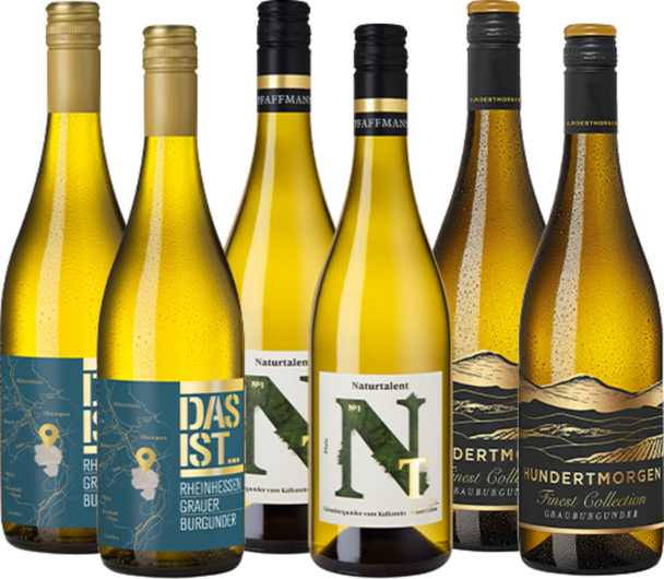 Grauburgunder Highlights im Paket
