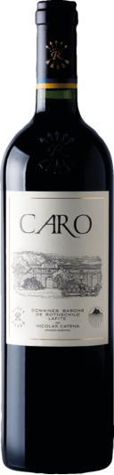 2019 Caro