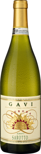 2022 Aurora Gavi
