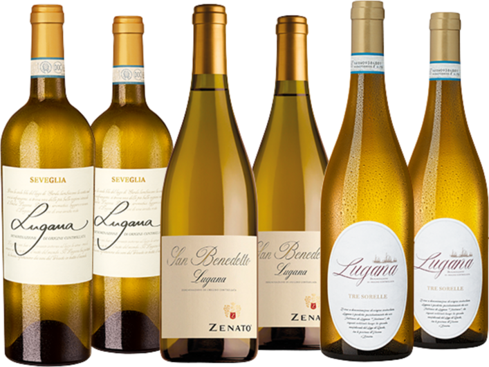 Lugana Bestseller im Paket