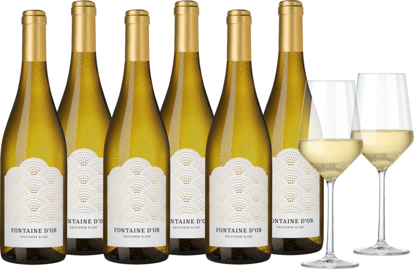 2021 Vorteilspaket Fontaine dOr Sauvignon Blanc