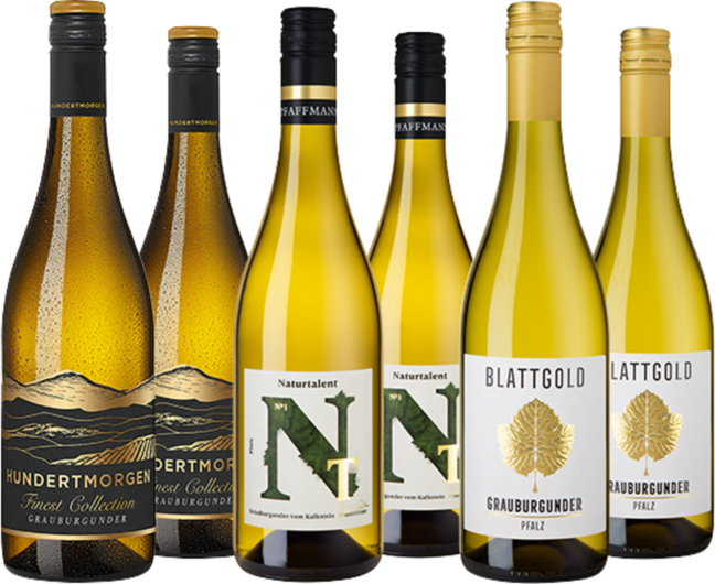 Grauburgunder Highlights im Paket