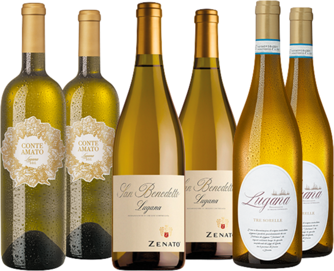 Lugana Bestseller im Paket