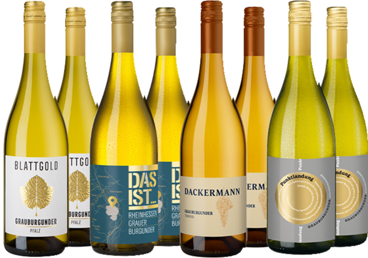 Grauburgunder Highlights im Paket
