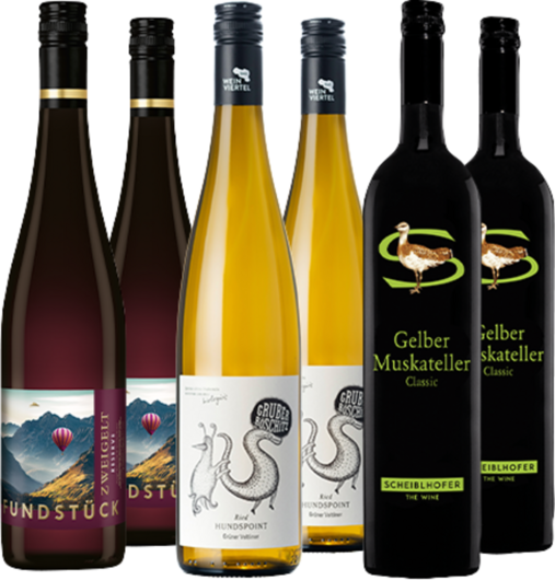 Entdeckerpaket Österreich