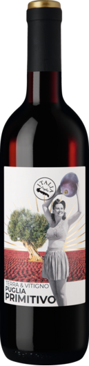 2022 Terra &amp; Vitigno Primitivo